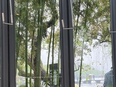 -星巴克(西湖天地店)