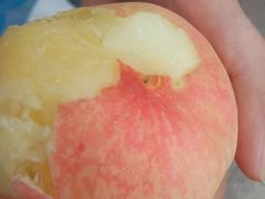 -南汇水蜜桃采摘(大团店)