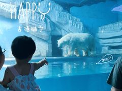-泉城欧乐堡海洋极地世界