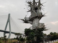 -芒洲湿地公园