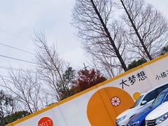 -前小桔亲子创意农场·草莓采摘·露营烧烤