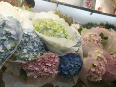 -溪岸路花鸟市场