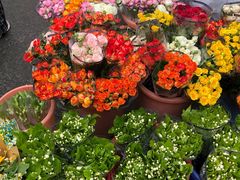 -循礼门鲜花花市(武汉循礼门店)