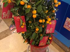 -UME影城(南京1912店)