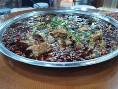 来凤鱼-东吴霸王兔(松青路店)