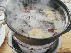 -芭厘农庄老字号·清远鸡