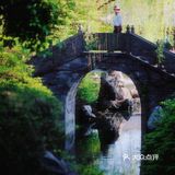 游宁波「景」令人流连忘返富有历史底蕴和人文景观的城市湖泊公园