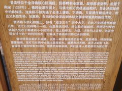 -金泽古镇