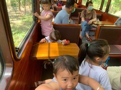 -合肥滨湖国家森林公园