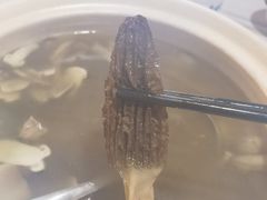 -蘑统田下·野生菌火锅