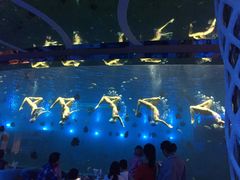 -瑞德姆美人鱼海底演艺主题餐厅(亚龙湾店)