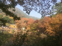 -白马涧龙池景区