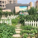 来这个乐园感受自然风情