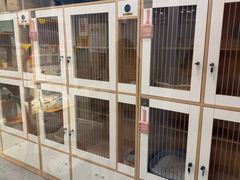 -爱洗澡的猫(天河路店)