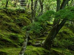 -常寂光寺