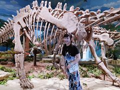 -自贡恐龙博物馆