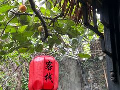 -留荫庐旅馆(南浔古镇百间楼店)