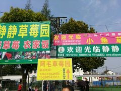 -小鱼草莓采摘园农家乐·小鱼餐厅