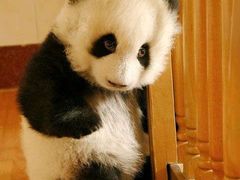 -麦当劳(合肥之心城店)