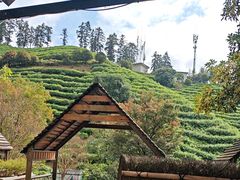 -心无尘茶餐馆(径山村店)