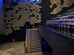 -武商摩尔影城(国广IMAX激光店)