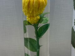 -广东中医药博物馆