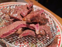 -杨小佳·齐齐哈尔烤肉·烤串(广州店)