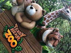 -济州岛泰迪熊博物馆