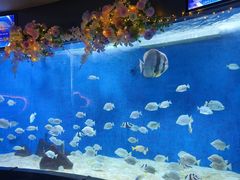 -合肥海洋世界