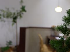 -肥朵食堂(带梦胡同店)