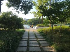 -新江湾城公园