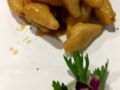 -老阿妈蒙古村·蒙古包·草原文化·歌舞表演(老君堂店)