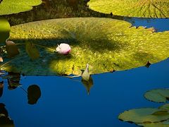 -国家植物园南园