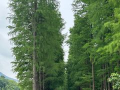 -青山湖景区