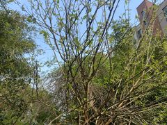-白塘生态植物园