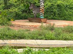 -海南热带野生动植物园