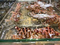 -诱货海鲜自助火锅(爱琴海购物公园东百店)