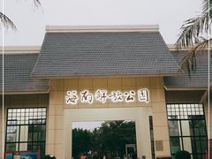 -临高角