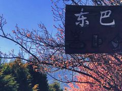 -玉湖村