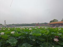 -南戴河国际娱乐中心