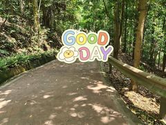-东莞市大岭山森林公园