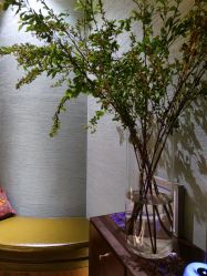 -娇玫荟SPA