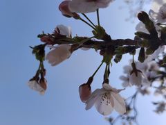 -幕燕滨江·长江观音景区