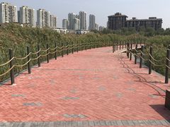 -天津东丽湖风景区