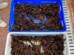 -渔人湾码头海鲜市场负二楼