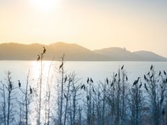-东湖落雁景区