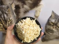 -豆逗聊愈猫阁Easy Life