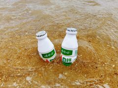 -天津东疆湾沙滩景区