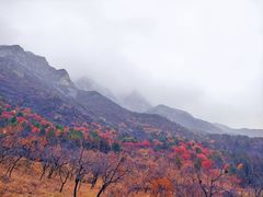 -百里山水画廊