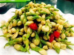 凉拌茉莉花-白魁老号饭庄(交道口店)